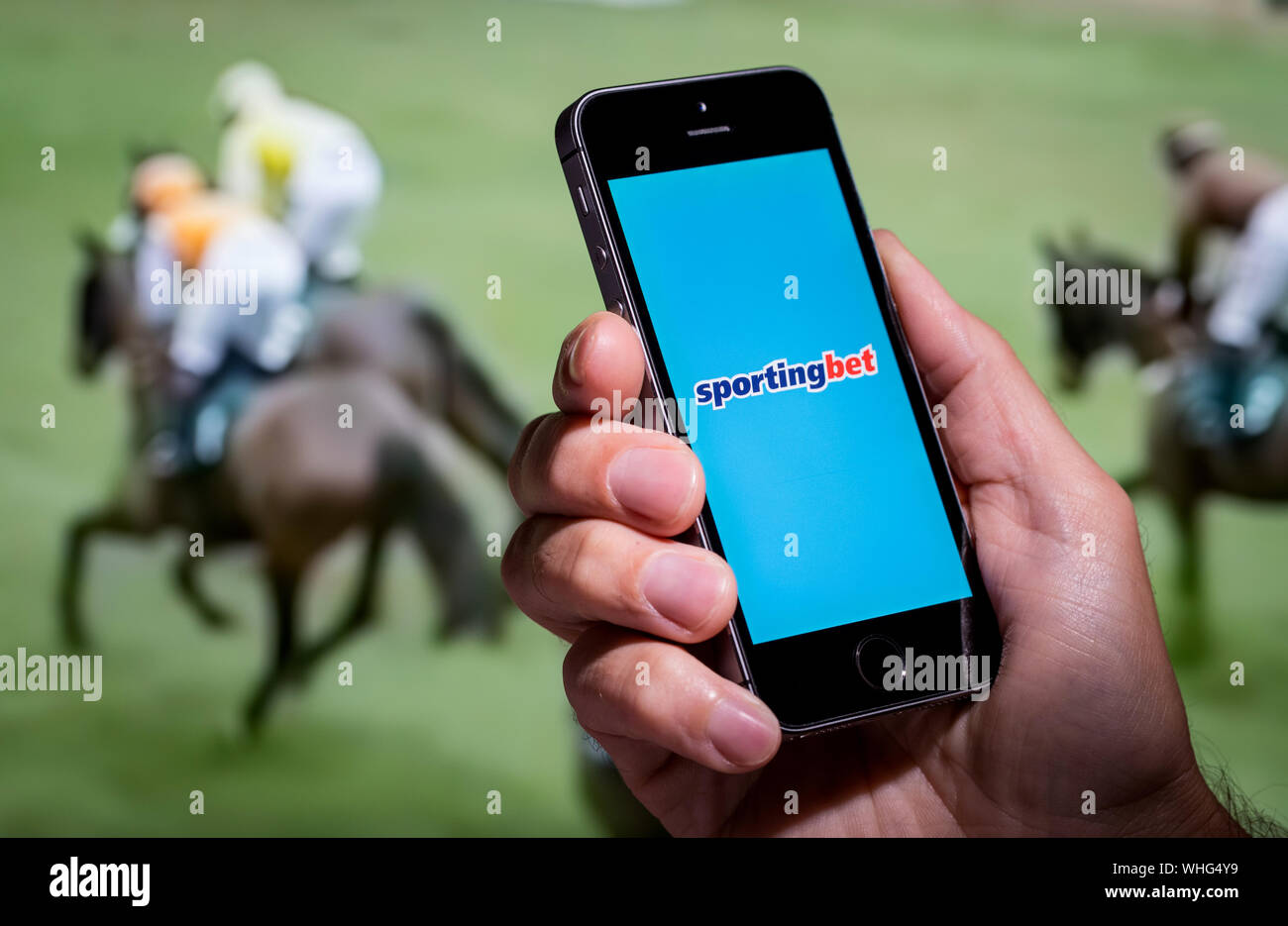 Ein Mann mit Blick auf die sportliche Wette app-Webseite, während gerade der Pferderennen Stockfoto