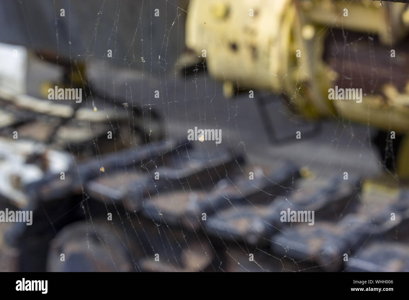 Spinnennetz und Riemen des Bergbaus Maschine im Hintergrund Stockfoto