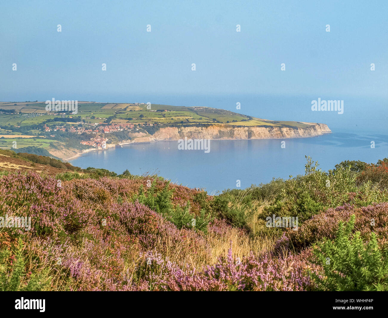 Blühende Heidekraut Moor mit Blick auf Robin Hood's Bay an der Nordostküste von Yorkshire, Großbritannien Stockfoto