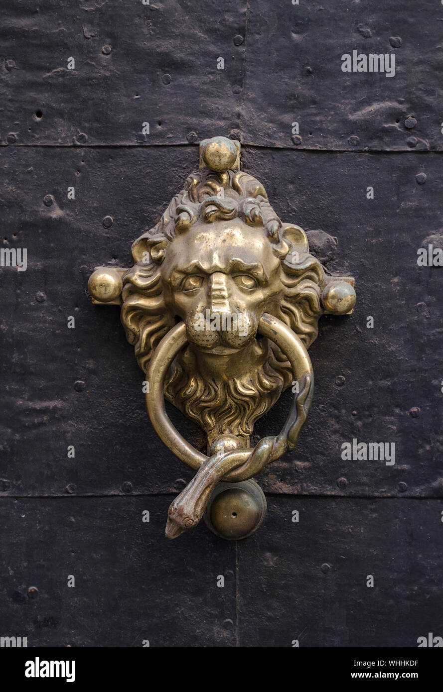 Alte Metall Tür Detail mit einem Lion's Head, in Graz, Steiermark, Österreich Stockfoto
