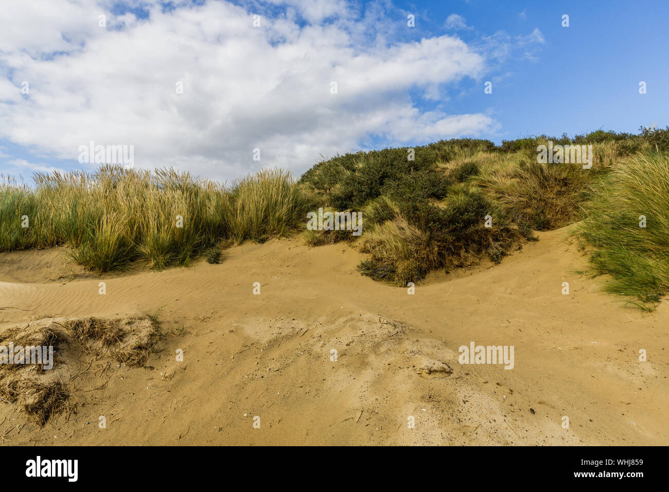 Sturz Strand, in der Nähe von Rye Stockfoto
