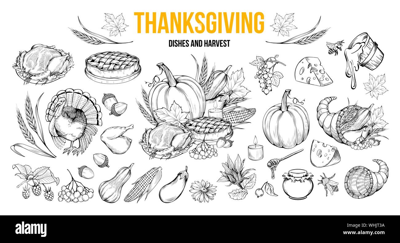 Thanksgiving Malbuch Illustrationen. Traditionelle Herbstferien feier Hand gezeichneten Symbole. Herbst Ernte, natürlichen Gemüse. Die Türkei, Kürbis, Honig und pie Schwarzweiß-Zeichnungen Stock Vektor