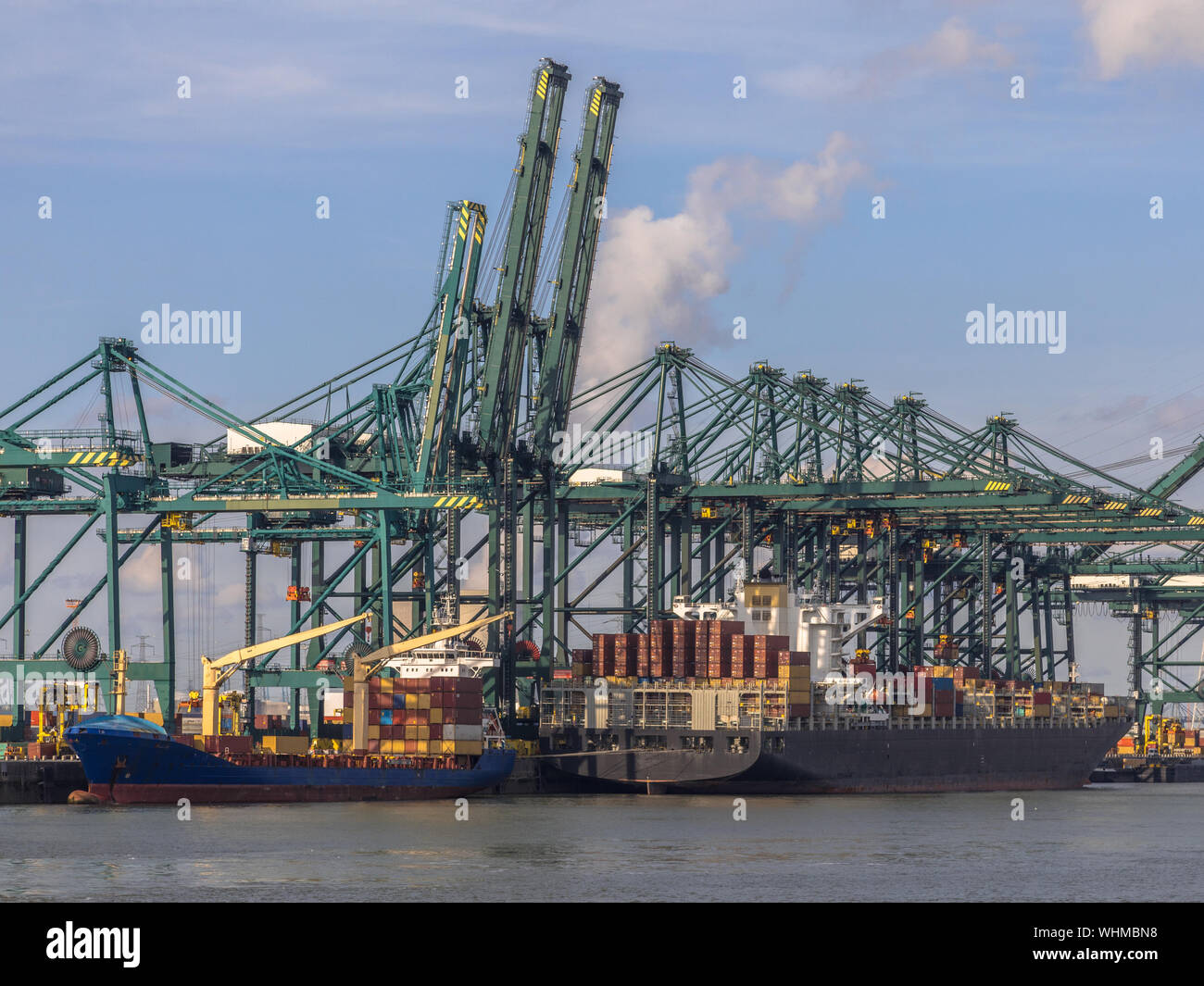 Laden der Schiffe in den geschäftigen Hafen von Antwerpen am Container Terminal mit automatisierten Kranen und viele Schiffe. Belgien Stockfoto