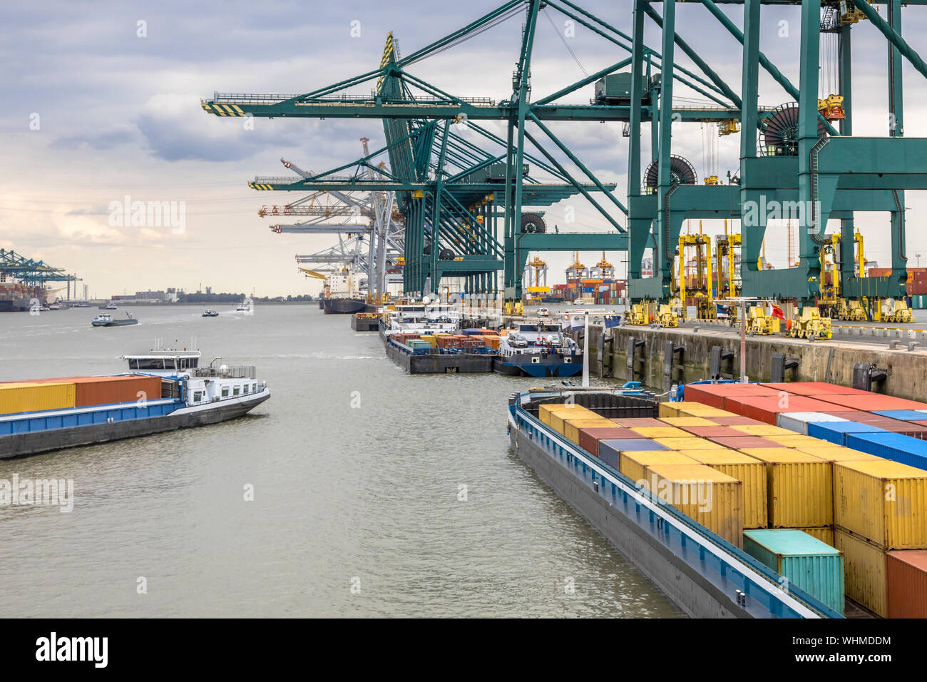 Beladen von Schiffen im geschäftigen Hafen von Antwerpen am Container Terminal mit automatisierten Kranen und viele Schiffe. Belgien Stockfoto