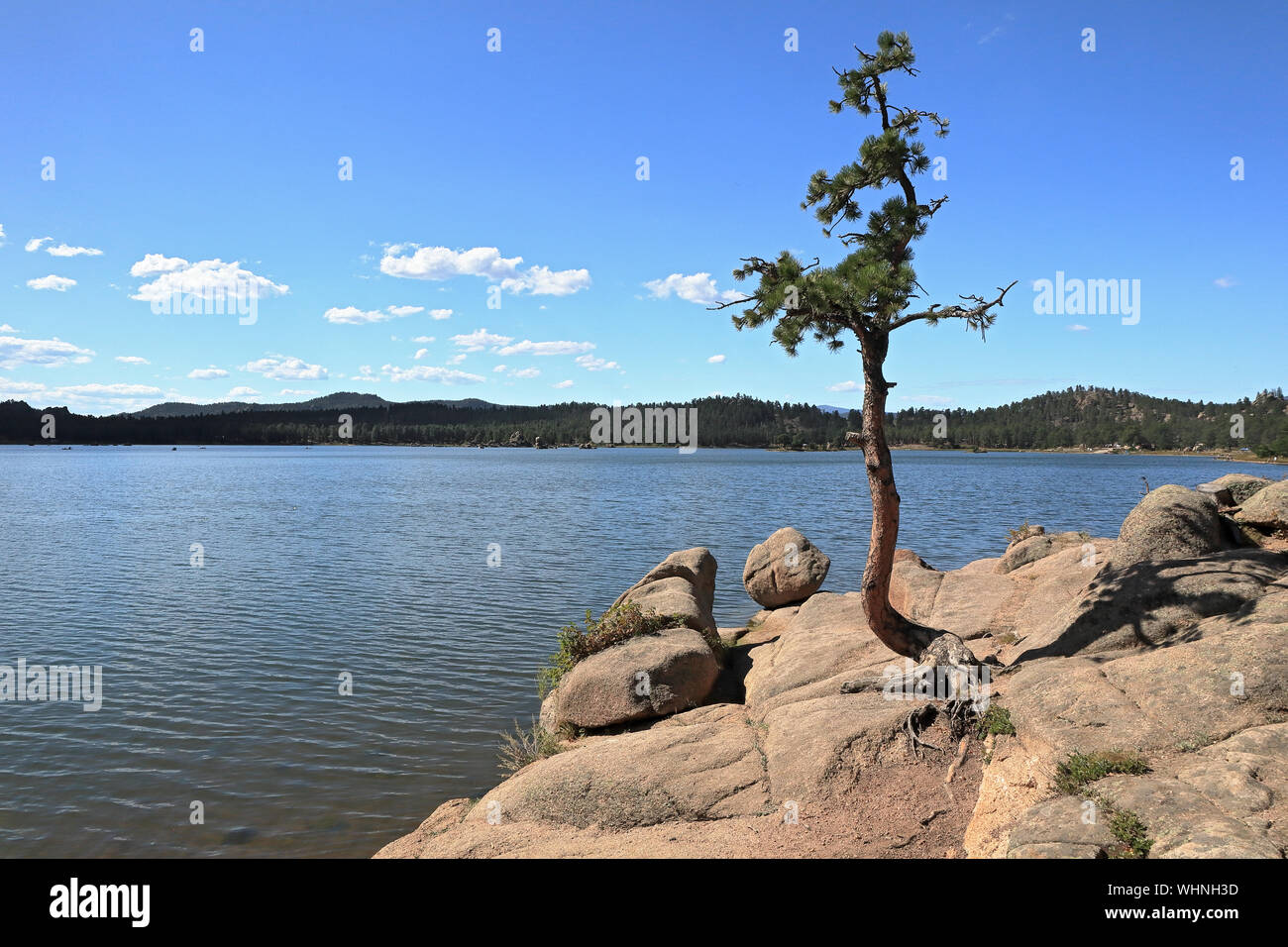 Schöne Dowdy See, Teil der Red Feather seen Recreation Area in der Nähe von Fort Collins, Colorado, an einem sonnigen Tag Stockfoto