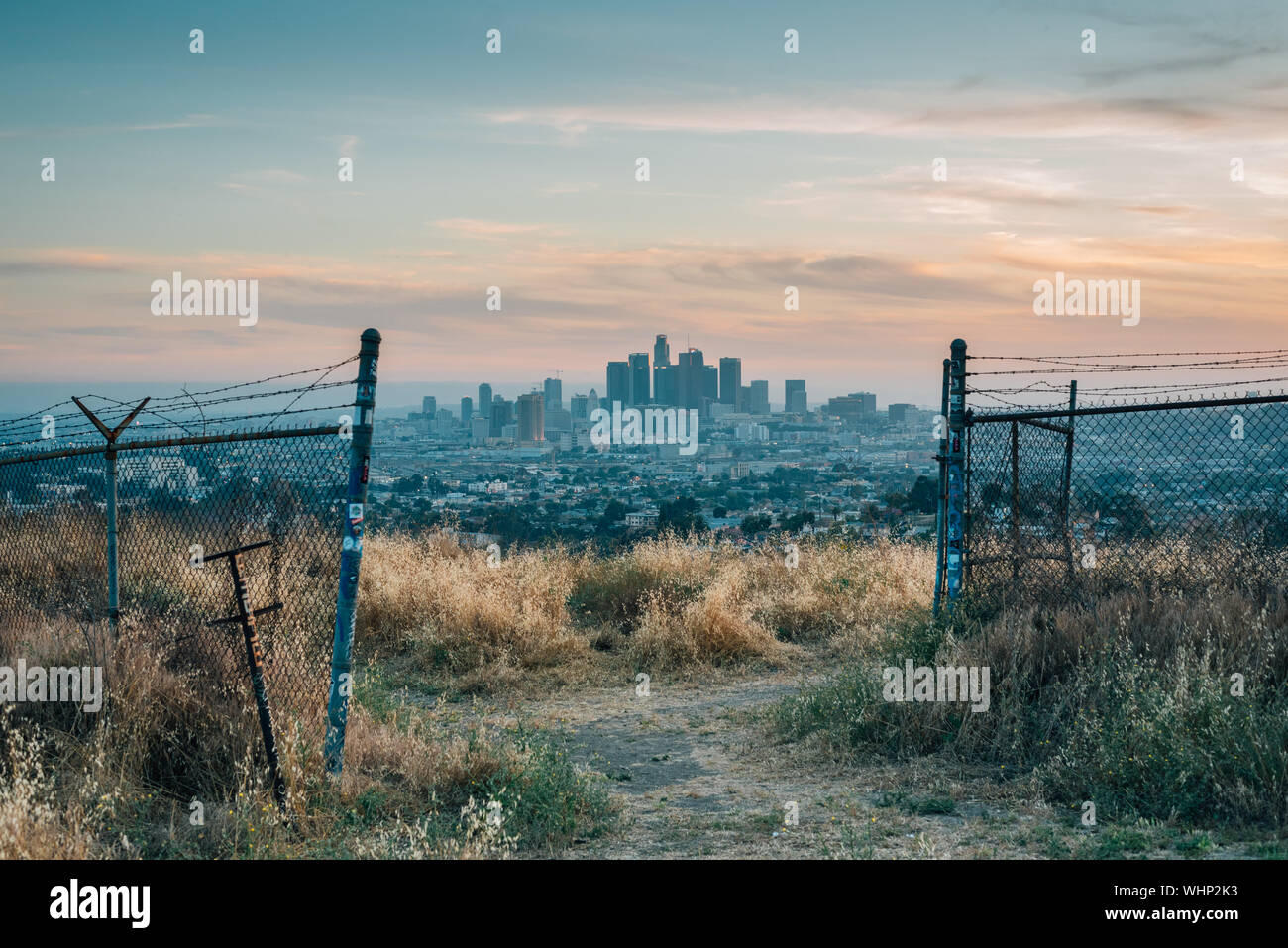 Sonnenuntergang Blick auf die Innenstadt von Los Angeles Skyline von Ascot Hills Park, in Los Angeles, Kalifornien Stockfoto