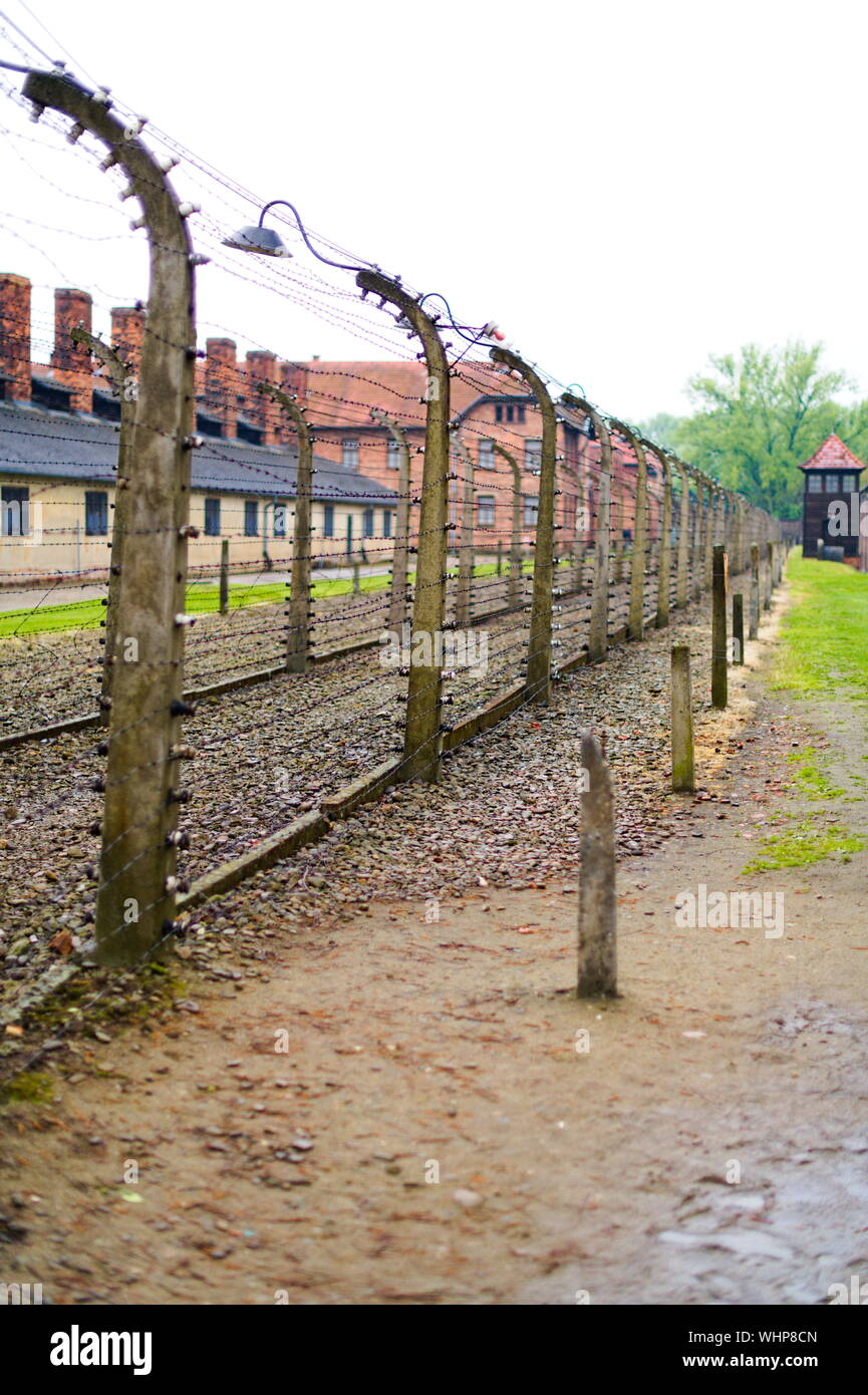 Stacheldrahtzaun im Konzentrationslager Auschwitz in Oświęcim, Polen Stockfoto