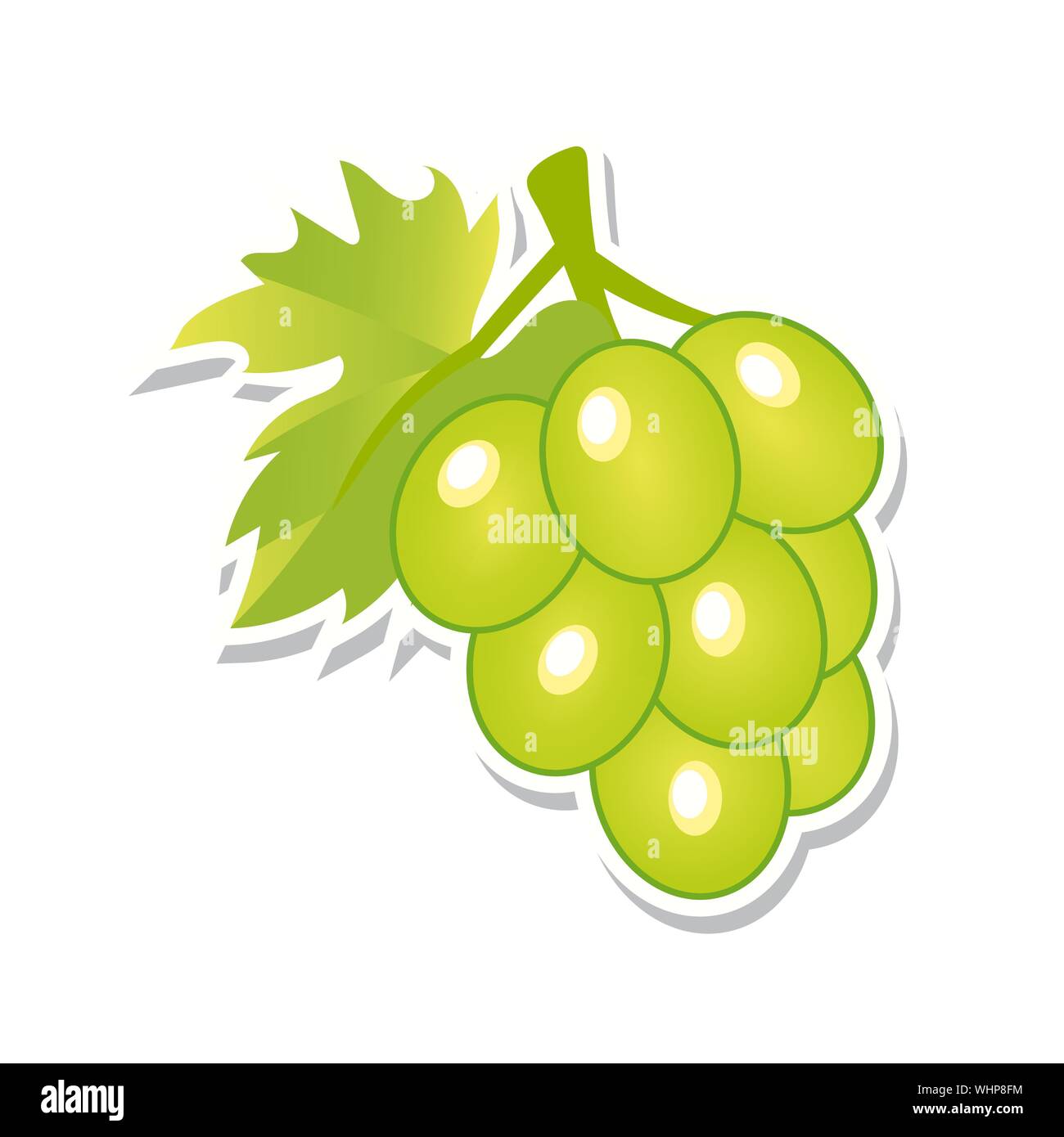 Grüne Trauben. Süße Frucht. Isolierte Beeren auf weißem Hintergrund. Vector Illustration. Stock Vektor