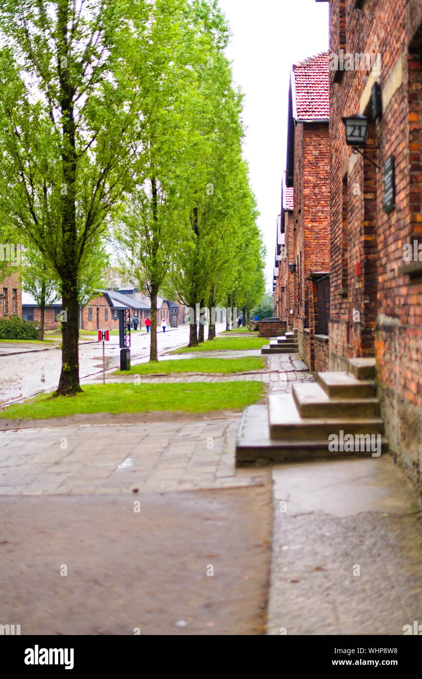 Baracken im Konzentrationslager Auschwitz in Oświęcim, Polen Stockfoto