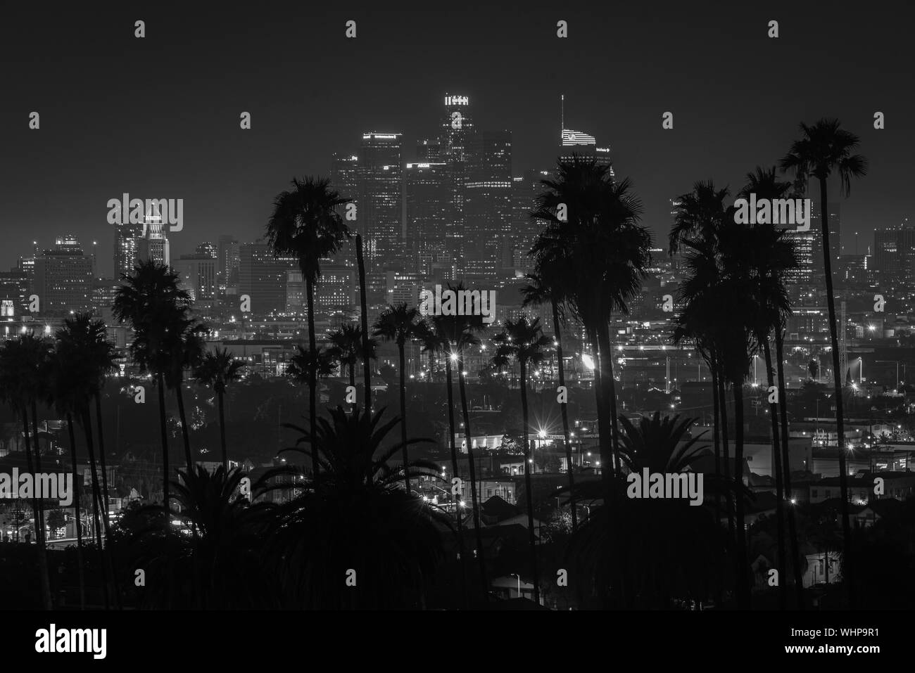 Palmen und Stadtbild Nacht Blick auf die Skyline von Downtown Los Angeles, Kalifornien Stockfoto