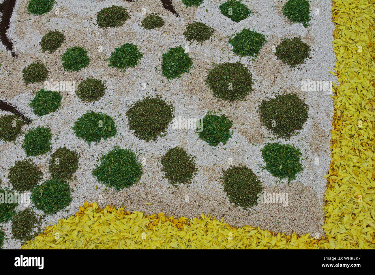 Blütenblätter, Getreide, Reis, Bohnen und Samen bilden ein abstraktes Muster in der Kufstein in der Region Marken in Italien zu feiern Fronleichnam Stockfoto