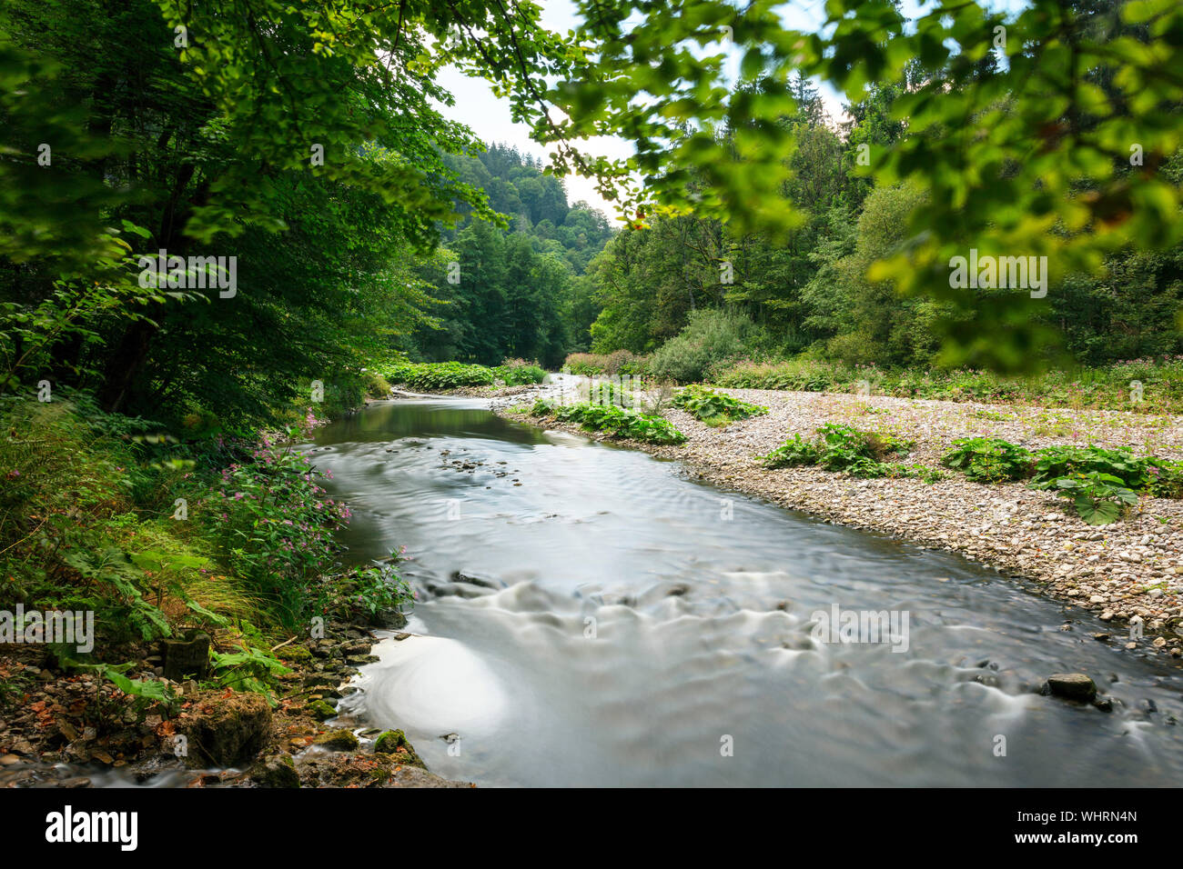 Fluss Wutach in die Wutachschlucht, Schwarzwald, Baden-Württemberg, Deutschland Stockfoto