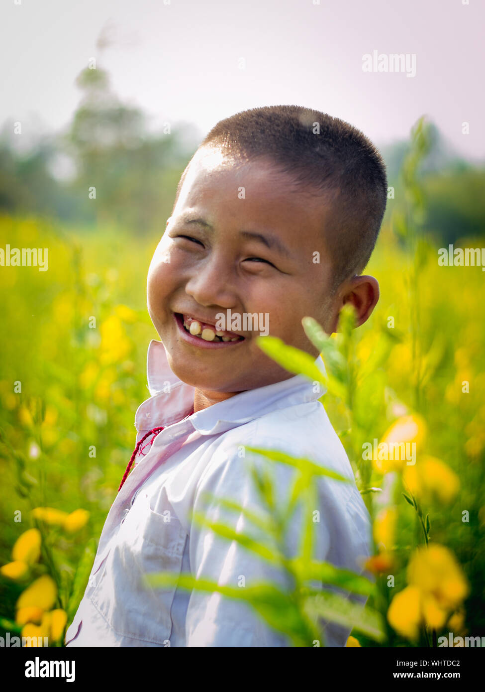 Portrait von lächelnden Jungen Steht man inmitten gelb Blumen blühen auf dem Feld Stockfoto