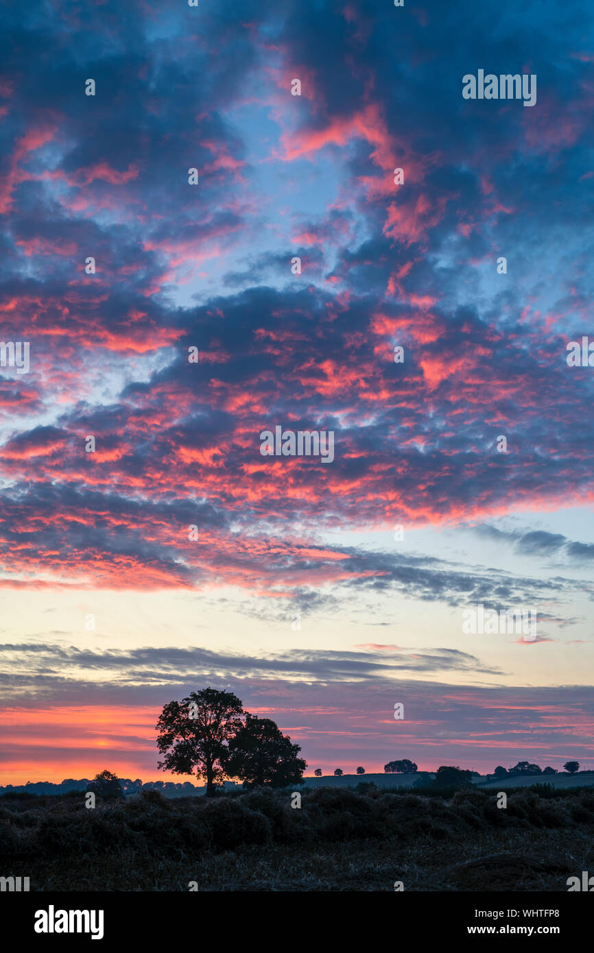 Rot und Blau bewölkter Himmel bei Sonnenaufgang in der Warwickshire Landschaft. Warwickshire, England Stockfoto