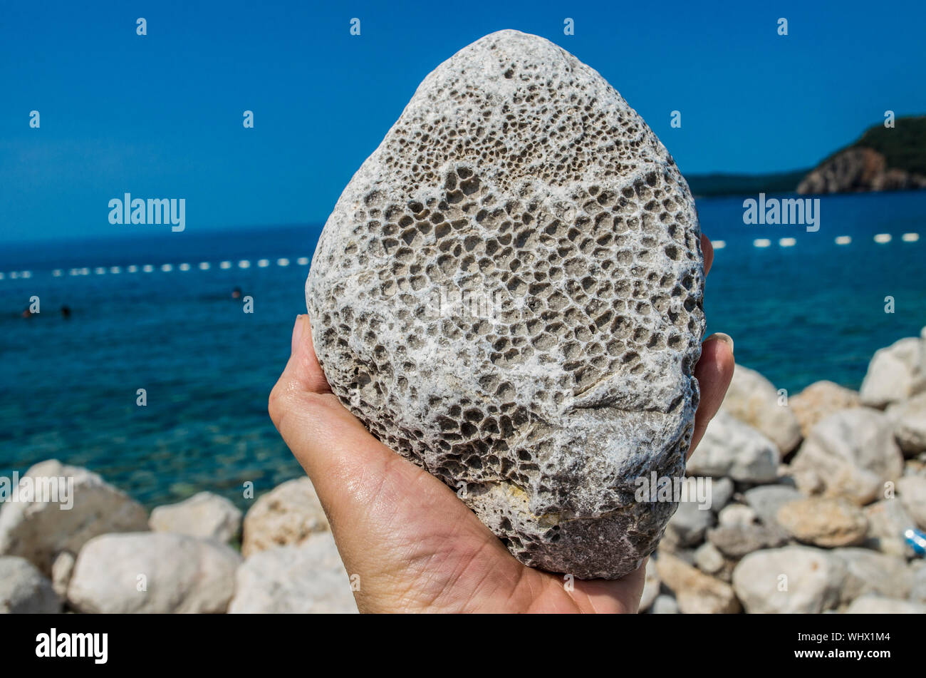 Natürliche Bimsstein in der Hand auf das Meer im Hintergrund. Die natürlichen Ressourcen für Schönheit. Stockfoto
