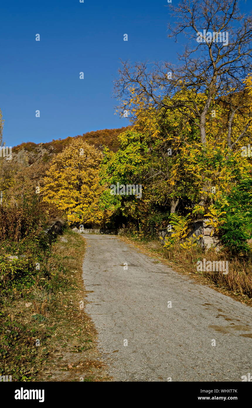 Erstaunlich herbst Blick auf die Lichtung, Hügel, Wald mit Laubbäumen und Straße in der Nähe des hübschen Dorfes Zhrebichko, Gemeinde Bratsigovo, Rhodopen Gebirge Stockfoto