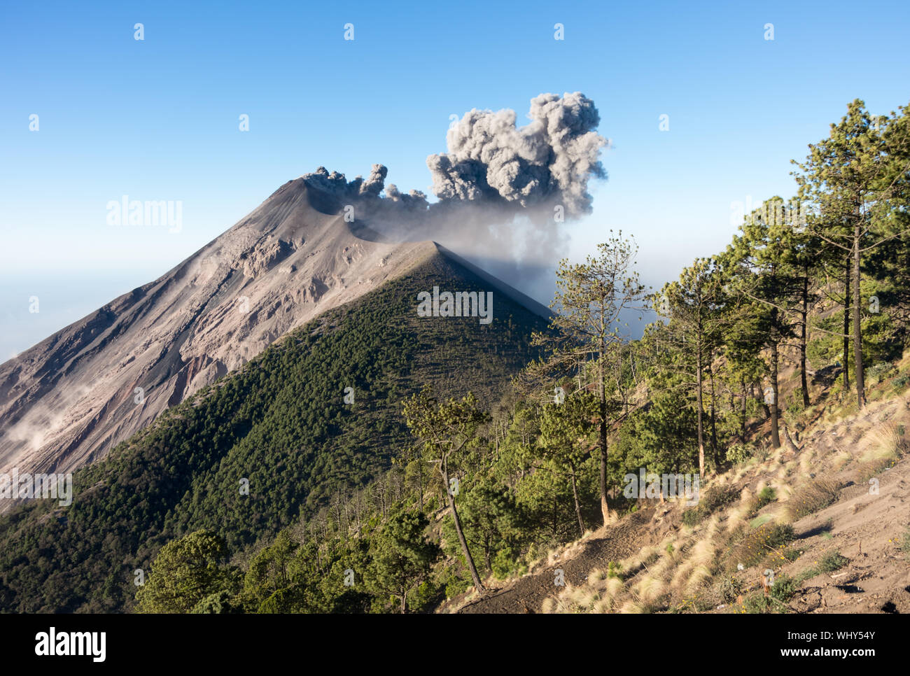 Fuego Volcano Eruption von den Hängen des Vulkans Acatenango, Guatemala gesehen. Stockfoto