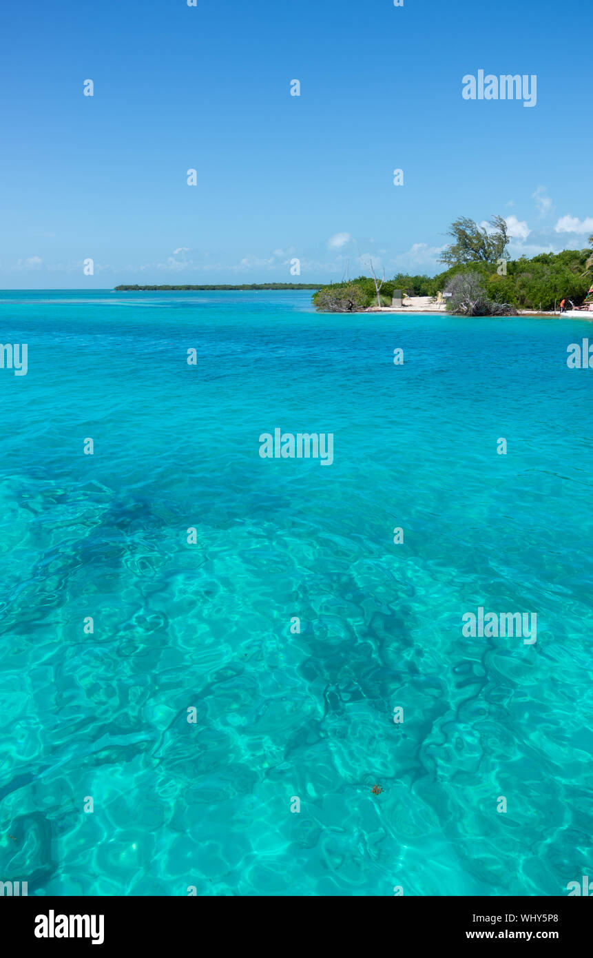 Kristallklare türkisfarbene Karibische Meer an der Küste von Caye Caulker, Belize. Stockfoto