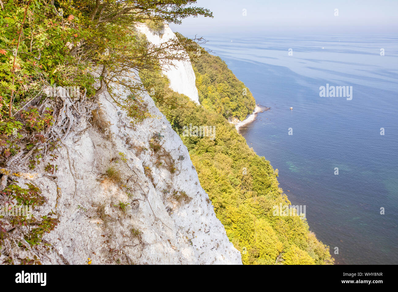Kreidefelsen auf der Insel Rügen (unter Denkmalschutz stehenden Häusern Rugia). Die deutsche Ostseeküste - UNESCO-Welterbe. Stockfoto