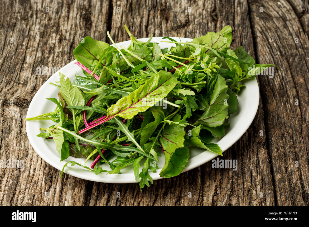 Frische Salatteller mit gemischtem grünen Rucola, mesclun, papiermache auf dunklem Hintergrund. Gesundes Essen. Grüne Mahlzeit. Stockfoto