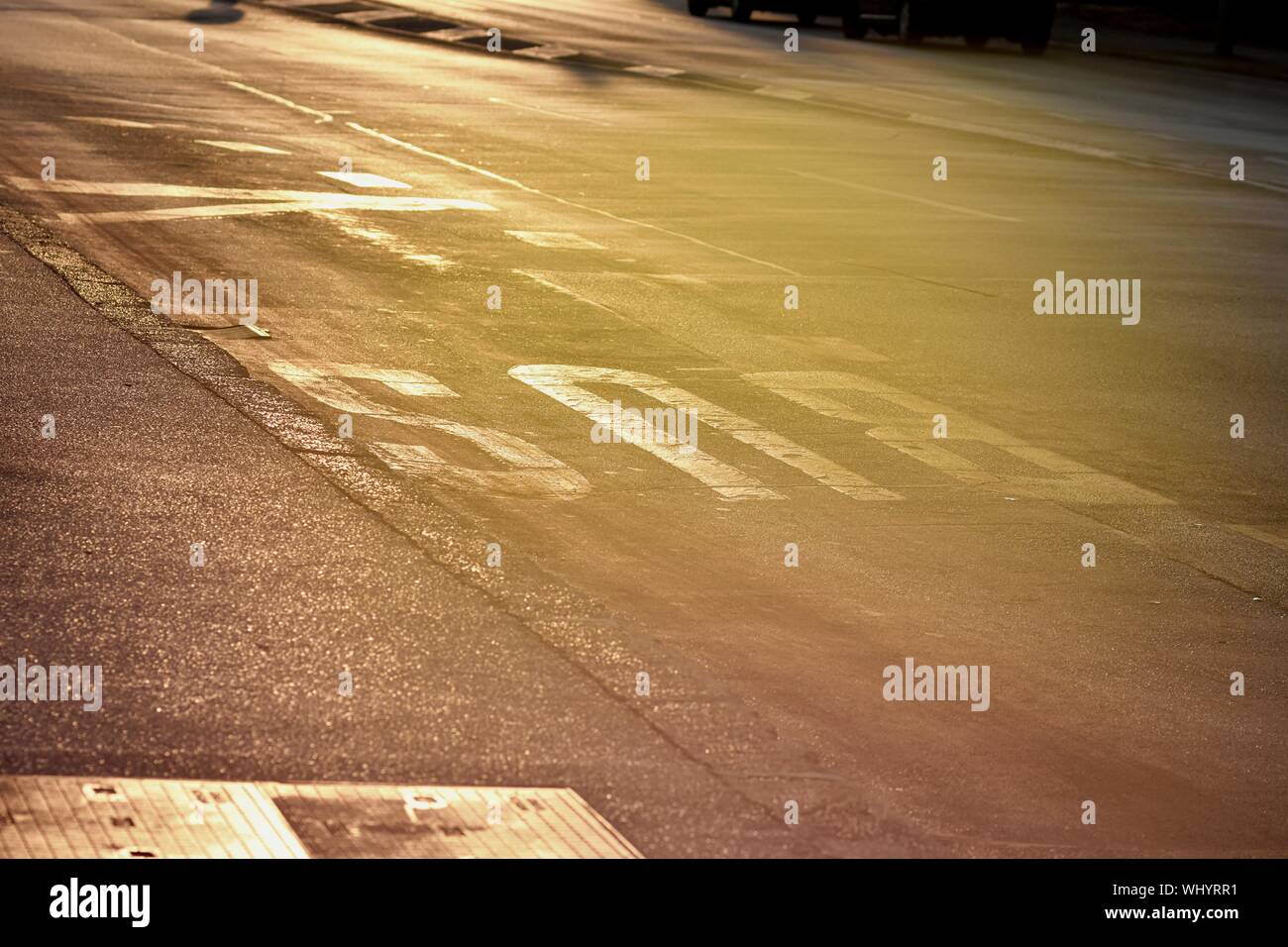 Fahrbahnmarkierung auf Bus station an der asphaltierten Straße/Konzept der Reisen Stockfoto