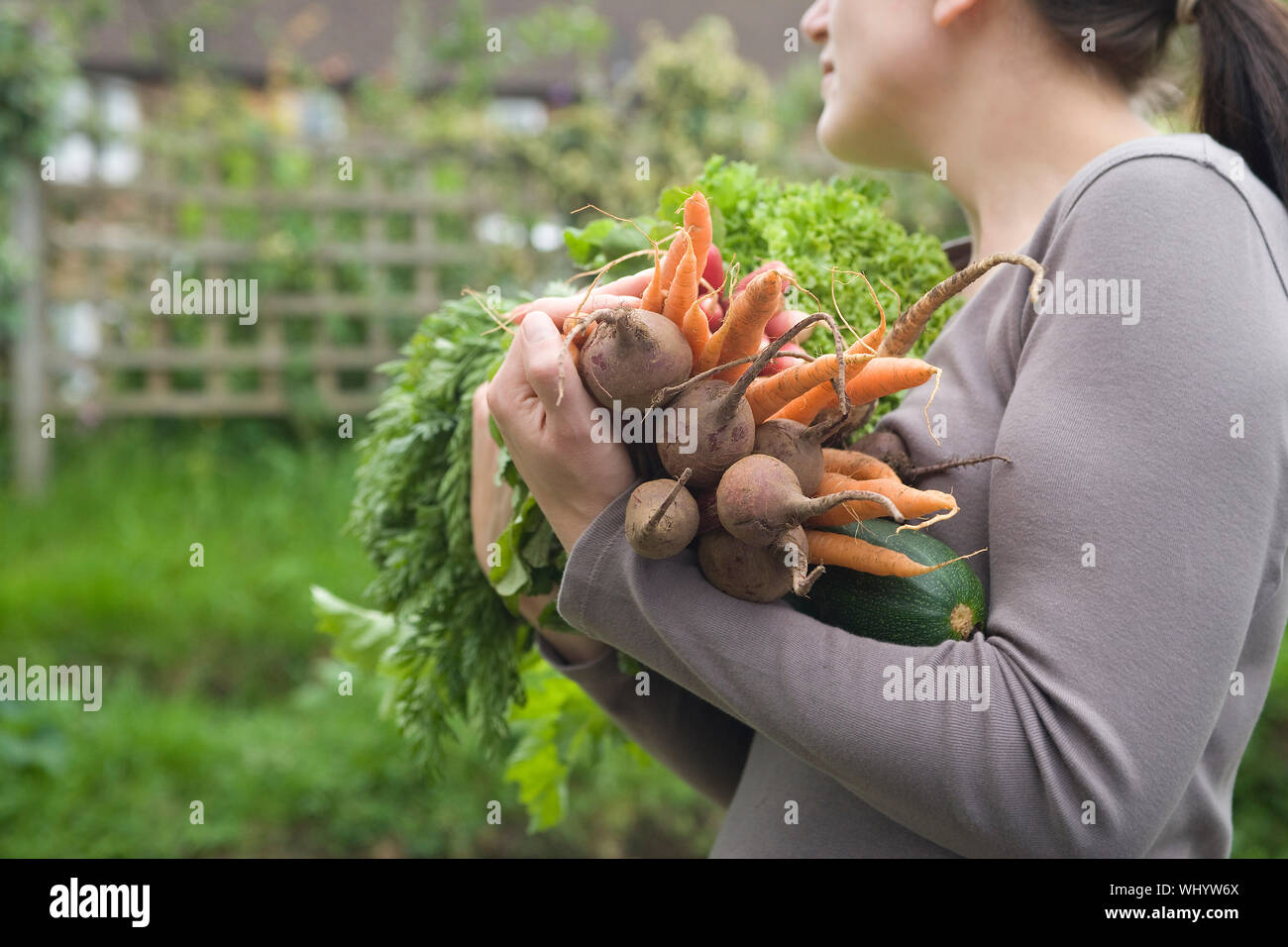 Nahaufnahme der Frau, die verschiedenen geernteten Gemüse im Garten Stockfoto