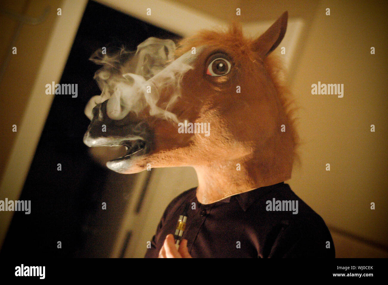 horse mask stockfotos und bilder kaufen alamy
