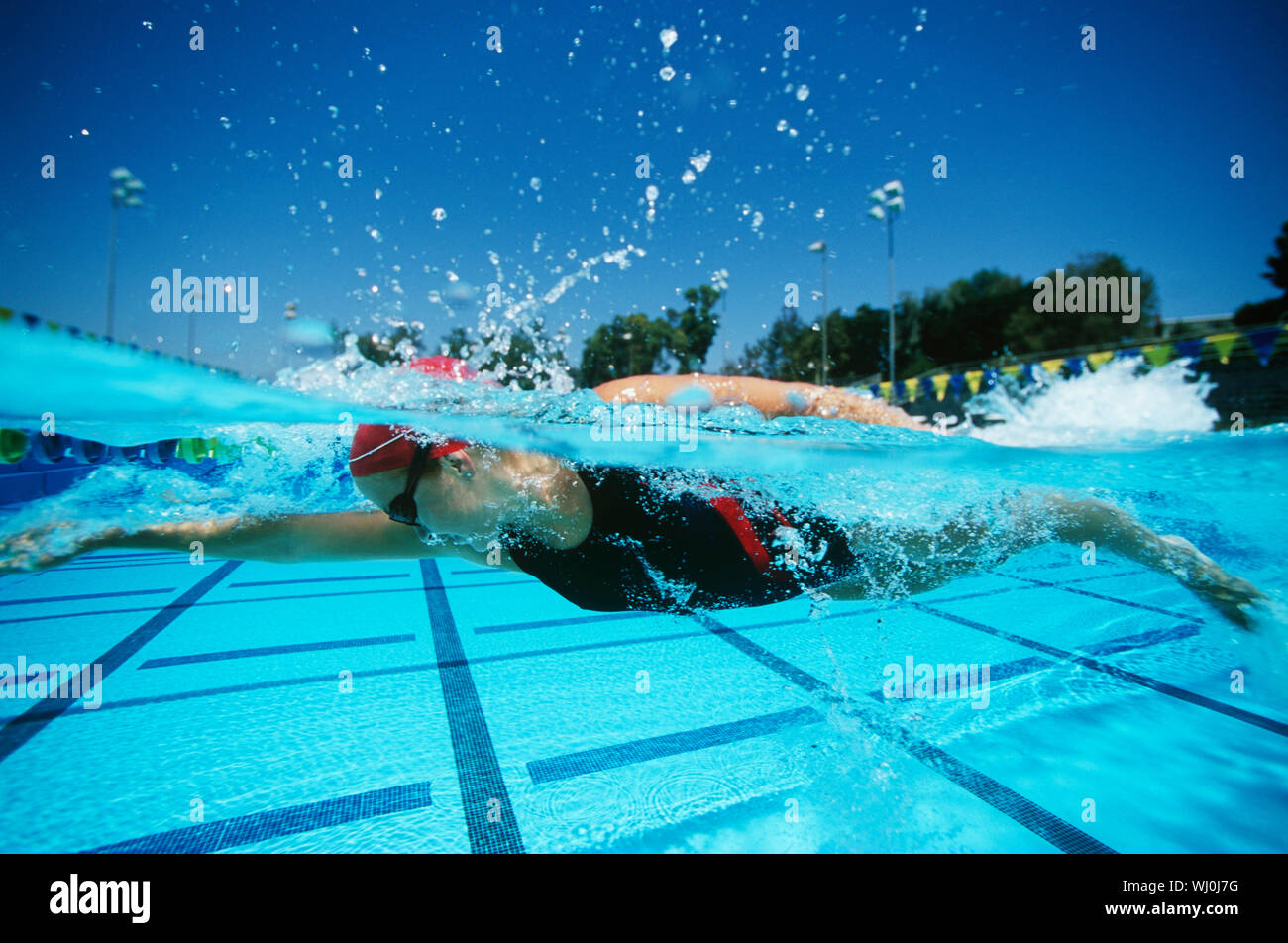 Weibliche Schwimmer im Pool, Oberflächenansicht Stockfoto