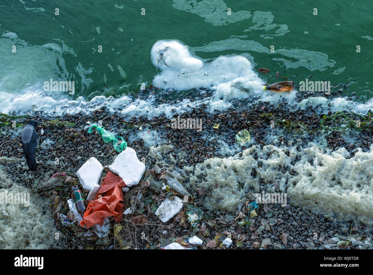 Kunststoff Verschmutzung des Flusses. Grüne Wasser des Flusses. Ökologische Katastrophe. Stockfoto