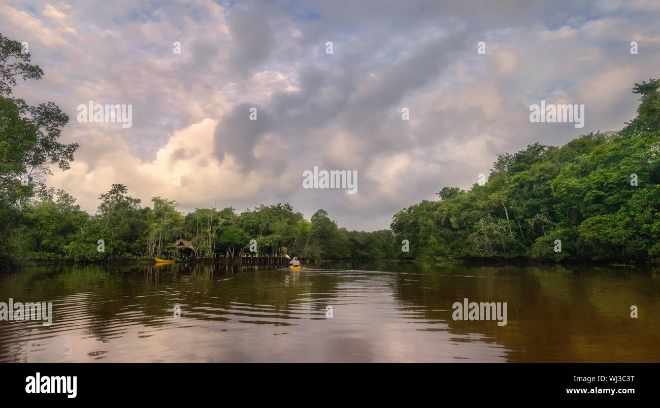 Panorama von einem tropischen Fluss im Dschungel von Lateinamerika. Stockfoto