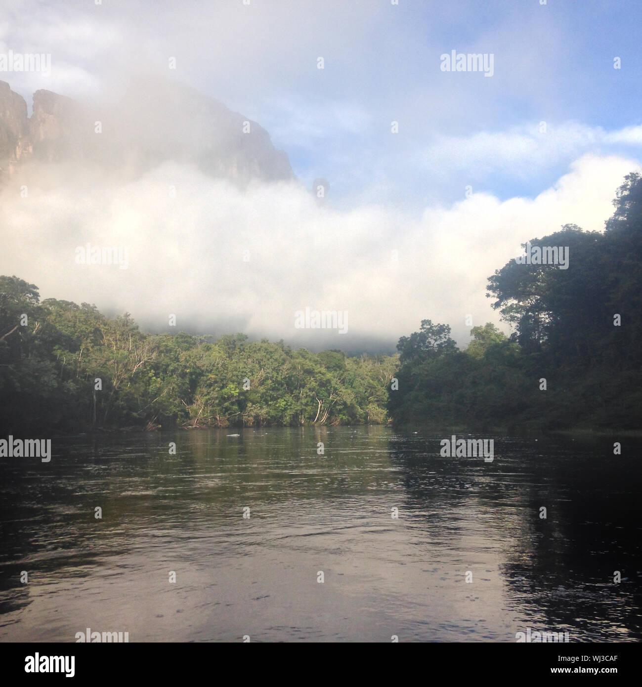 Niedrige Bewölkung am Ufer eines tropischen Fluss im Dschungel. Stockfoto