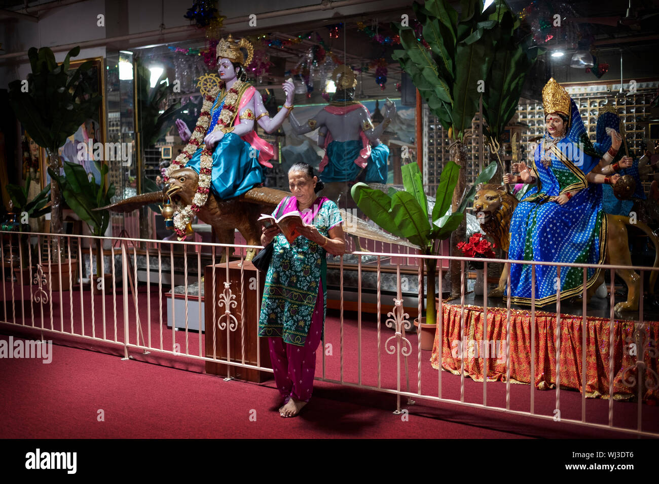 Ein frommer Hindu Frau mit einem gebetbuch vor Statuen von Durga (r) und Vishnu (l). An einem Tempel in Queens, New York. Stockfoto