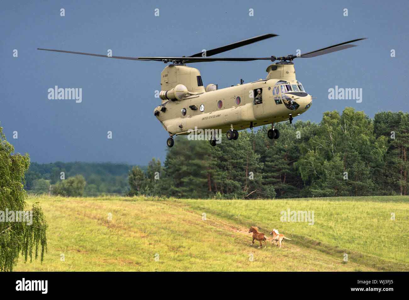 Schwere Transporthubschrauber CH-47 Chinook Stockfoto