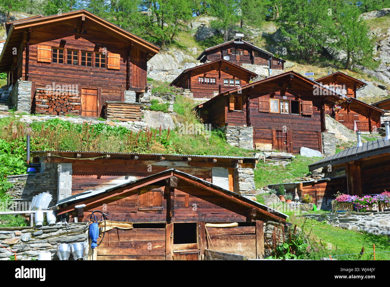 Traditionelle Schweizer Berghütten in einem Berg Sommer Weiler mit kleinen Bauernhof im Vordergrund. Stockfoto