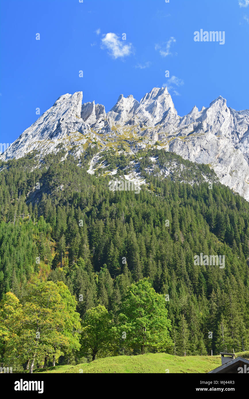 Das Engelhorn Bergen oberhalb von Grindelwald im Berner Oberland, Schweiz Stockfoto