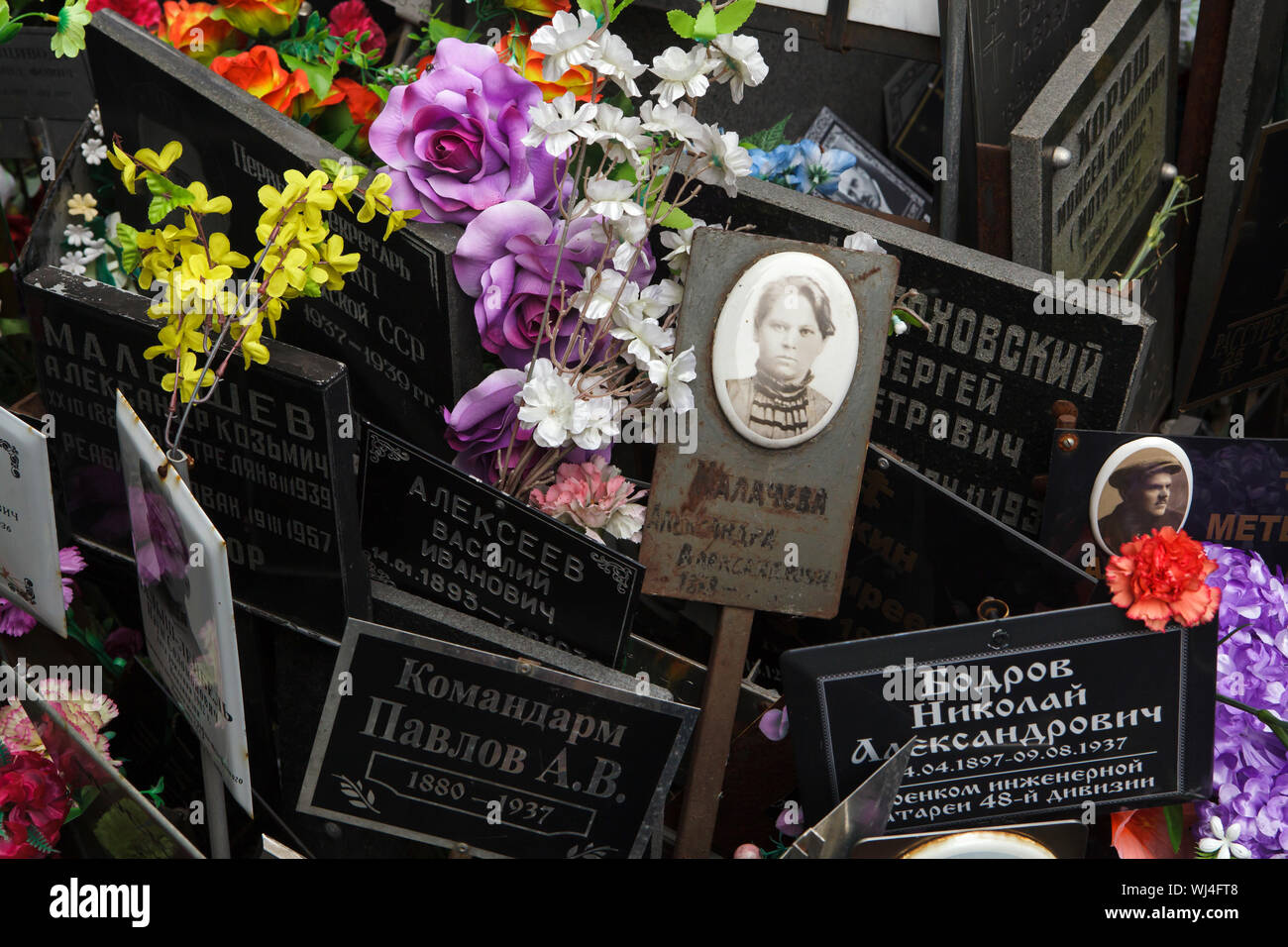 Gemeinsames Grab von unclaimed Asche Nummer eins, wo die Leute von der NKWD heimlich von 1930 bis 1942 begraben wurden, am Donskoye Friedhof in Moskau, Russland. Es wird geglaubt, daß das Massengrab enthält die Überreste von 4259 Opfer von Stalins Regime. Die Plaketten mit den Namen wurden von den Angehörigen seit den 80er Jahren installiert. Stockfoto