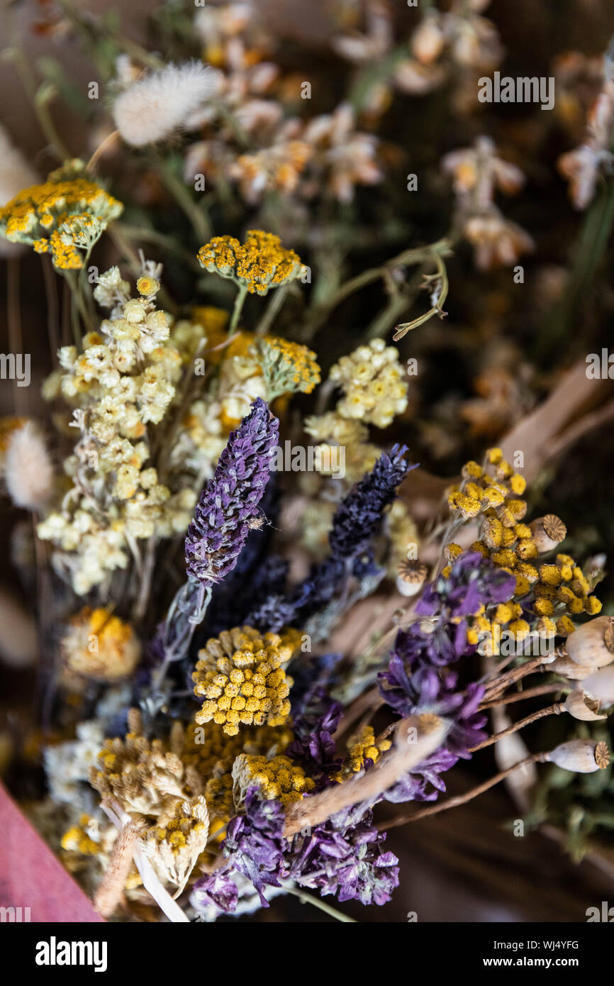 Close up getrocknete Kamille und Lavendel Bündel Stockfoto