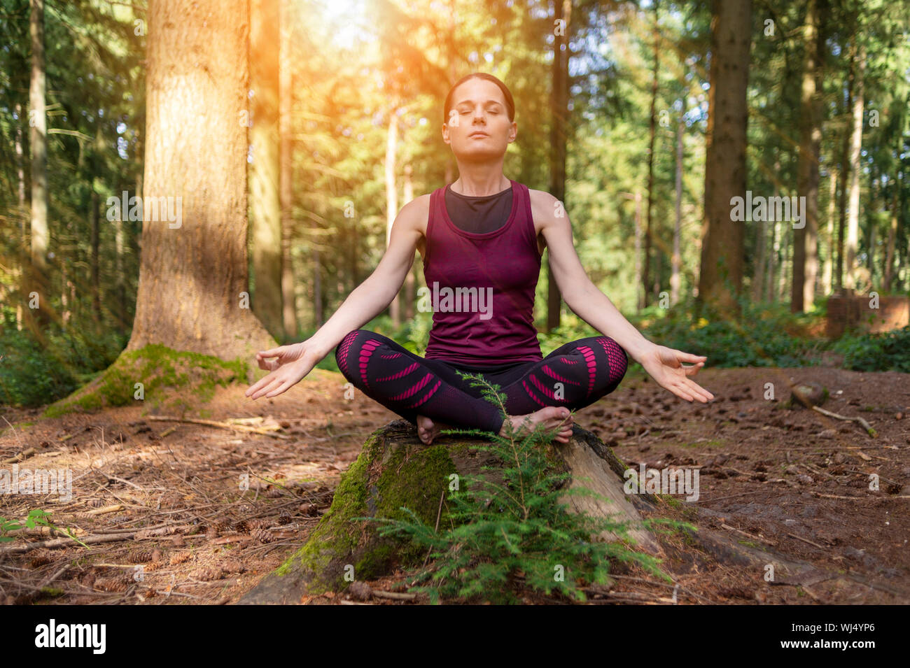 Frau sitzt auf einem Baumstumpf im Wald zu meditieren, Yoga zu üben. Stockfoto