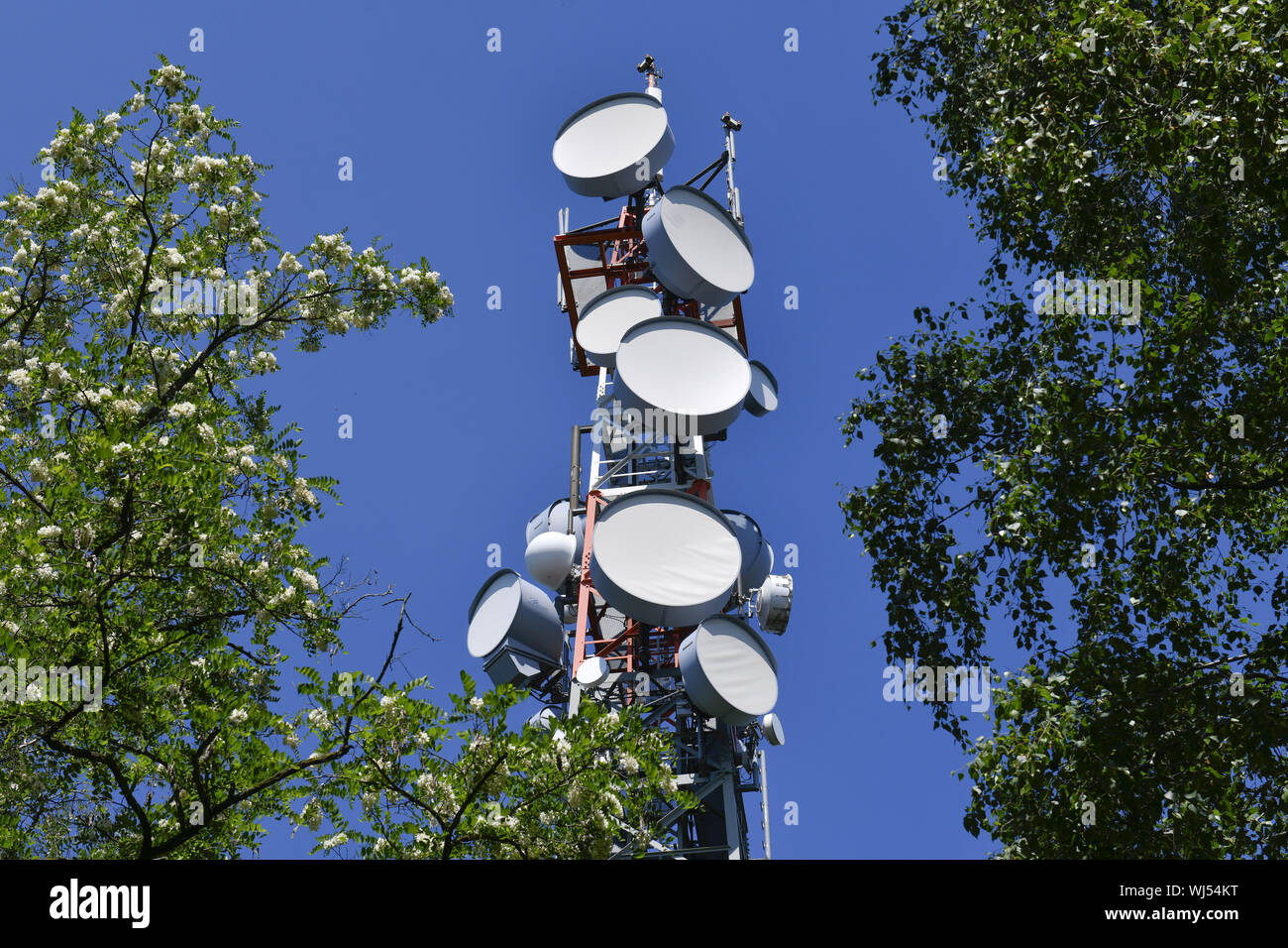Ansicht, Antenne, Antennen, Architektur, Außen, Draußen, Draußen, Außen,  Bäume, Baum, Bäume, Berlin, Deutschland, Elektrosmog, Fernsehen towe  Stockfotografie - Alamy
