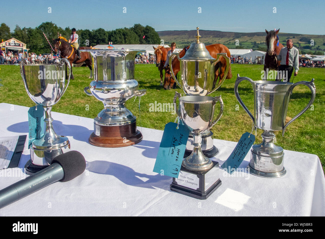Chipping Landwirtschaft zeigen, Lancashire. Silber Tassen & Preisträger Auszeichnungen für Präsentation, Großbritannien Stockfoto