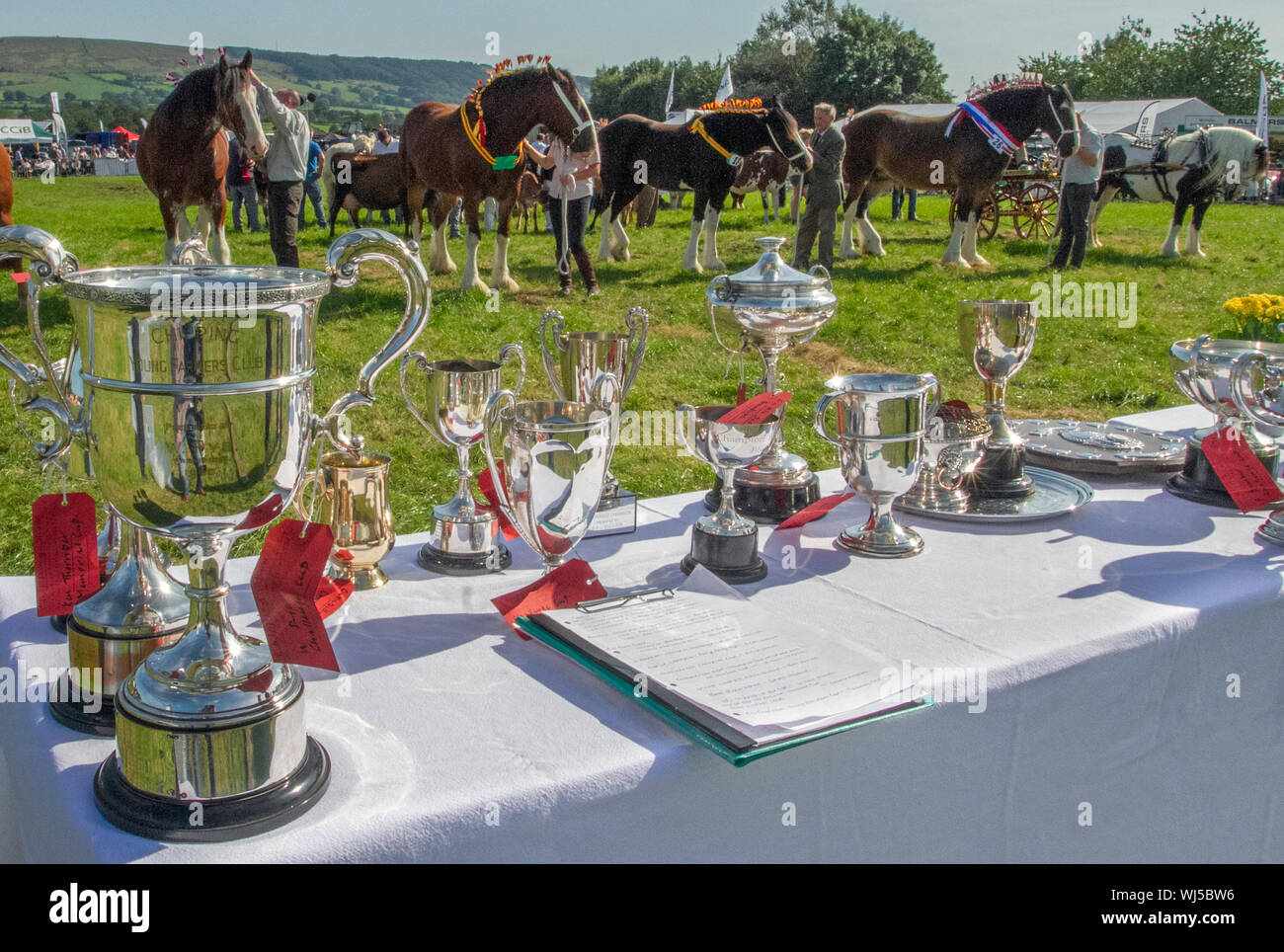 Chipping Landwirtschaft zeigen, Lancashire. Silber Tassen & Preisträger Auszeichnungen für Präsentation, Großbritannien Stockfoto
