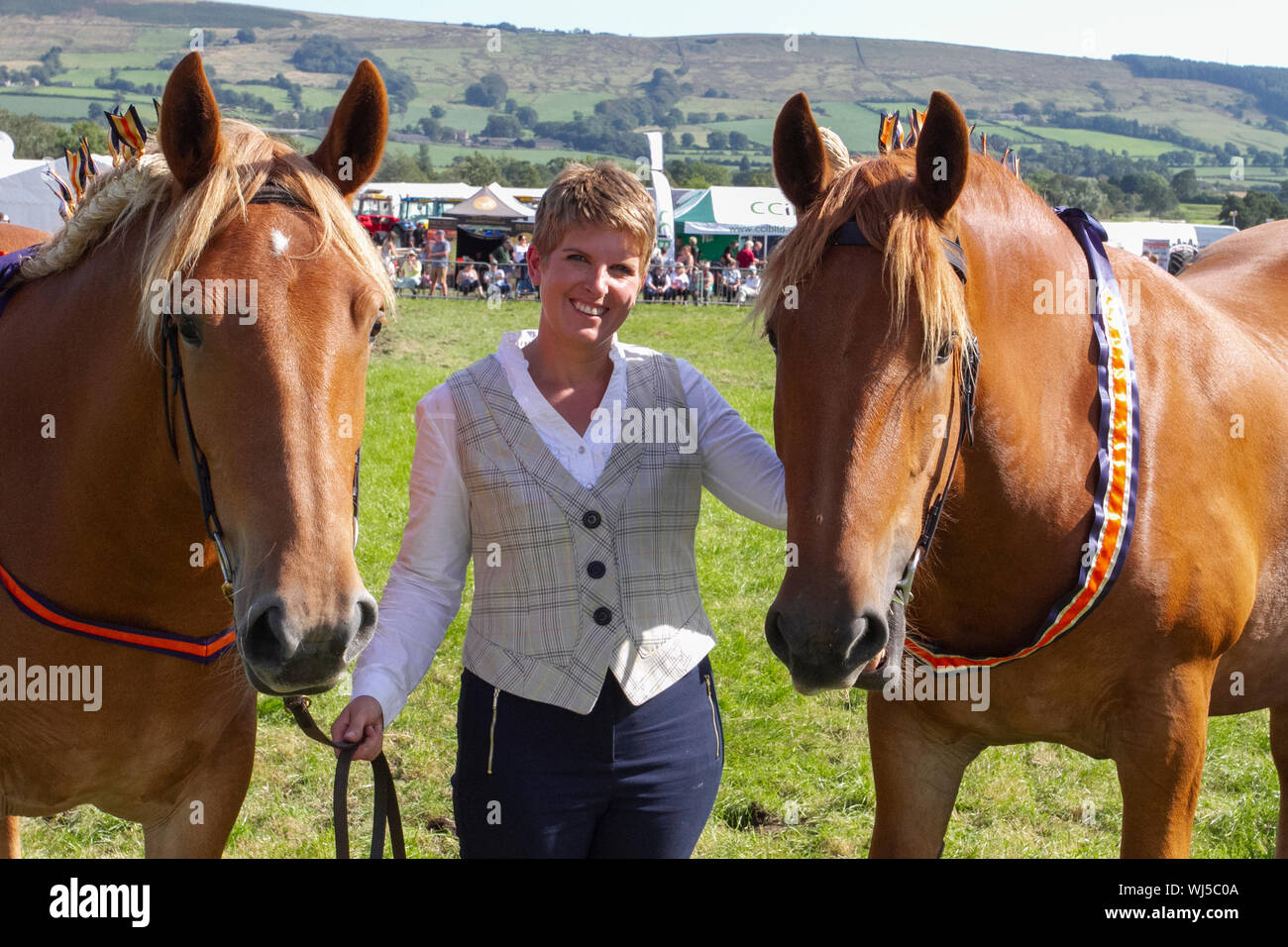 Preisgekrönte Pferde, an der Splitterung jährlichen landwirtschaftlichen zeigen, Großbritannien Stockfoto