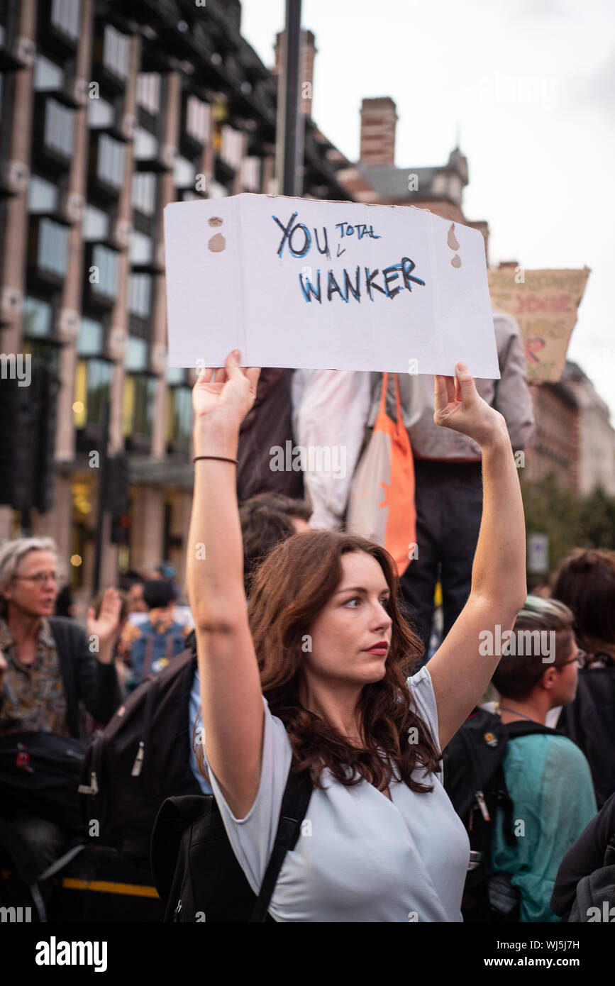 Anti Brexit protest London August 2019 Stockfoto