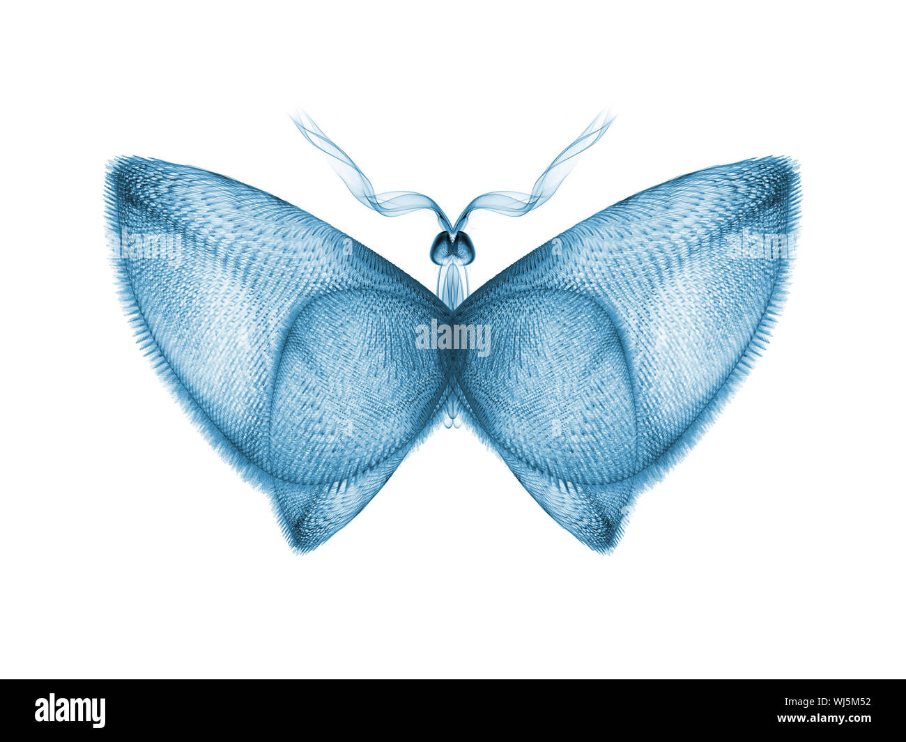 Nie waren Schmetterlinge Serie. Kreative Anordnung von isolierten Schmetterling Muster wie kostenlose Grafik zum Thema "Wissenschaft, Phantasie zu handeln Stockfoto