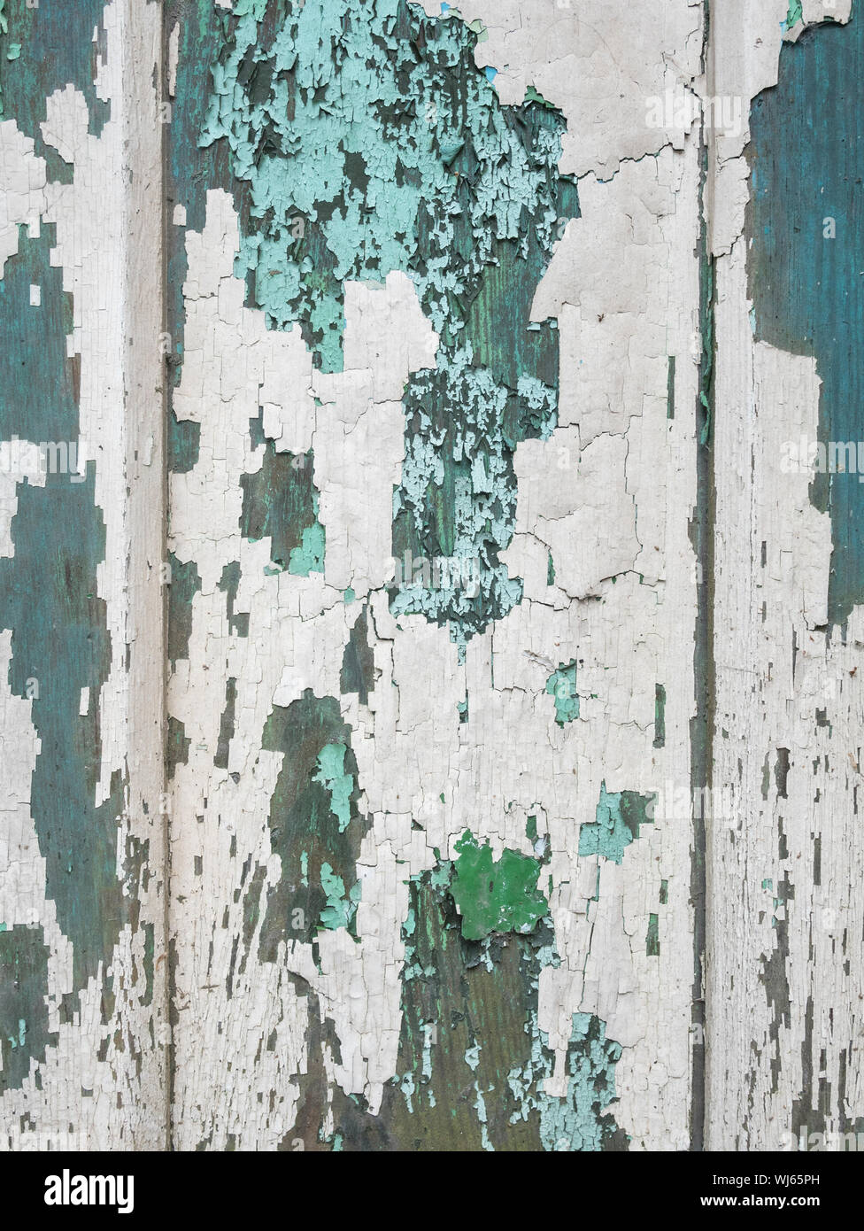 Schichten von abblätternder Farbe auf der alten Holztür. Die Farbe blätterte ab, die Farbe riß, die Farbe war alt, die Tür verblasste mit der Zeit. Stockfoto