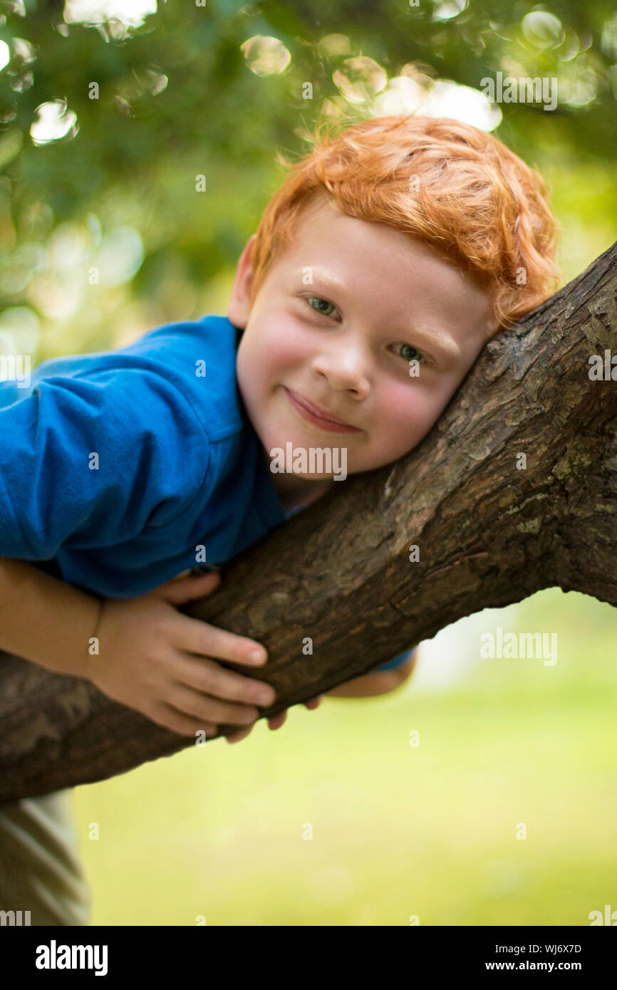 Europäische Junge mit grünen Augen direkt in die Kamera, close-up. Lustige kleine Kind mit Ingwer lockiges Haar und Sommersprossen liegen auf einem Baum Stockfoto