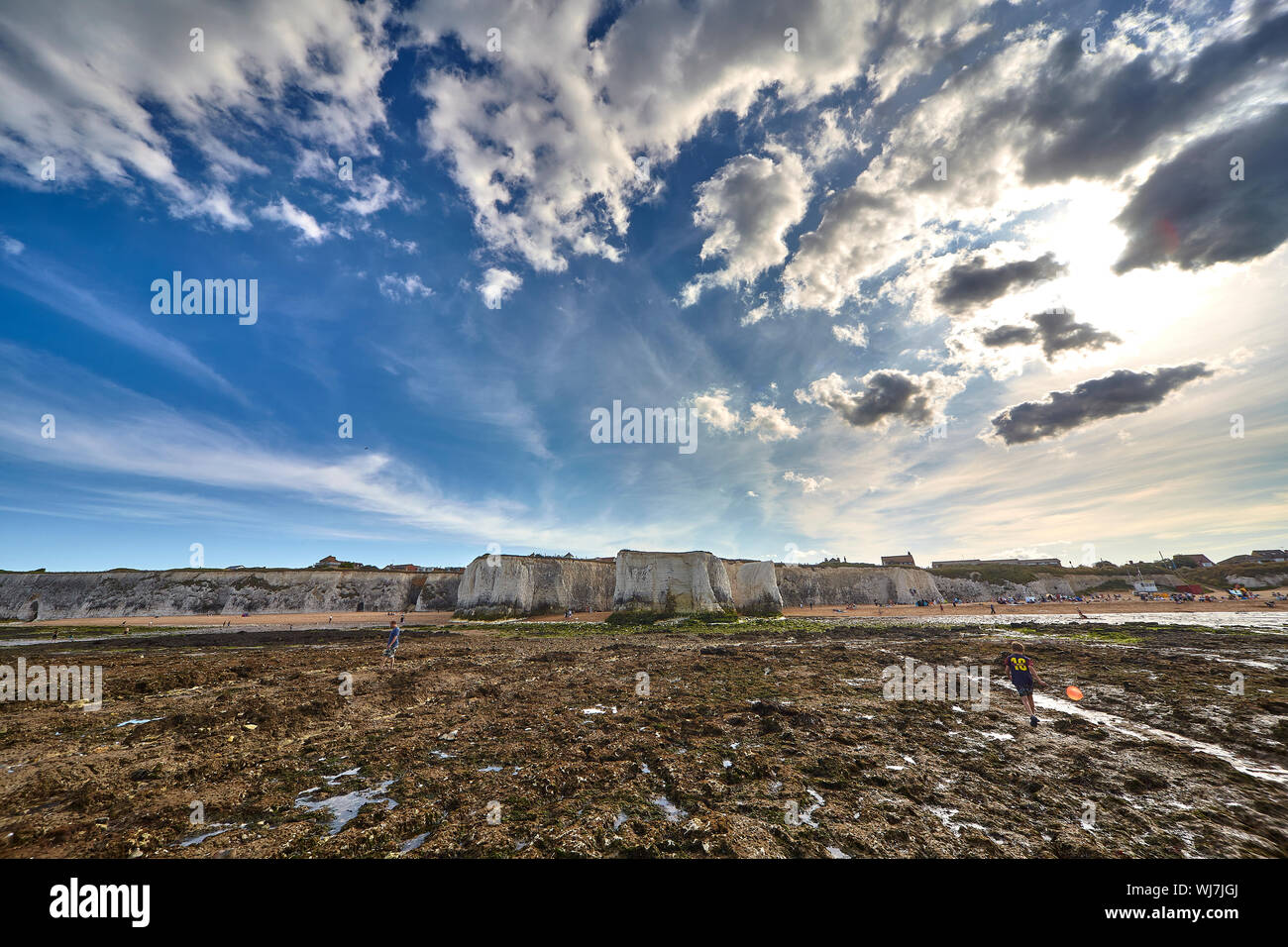 Botany Bay ist die nördlichste der sieben Buchten in Broadstairs. Es verfügt über Kreidefelsen und ist eine beliebte touristische Lage. Stockfoto