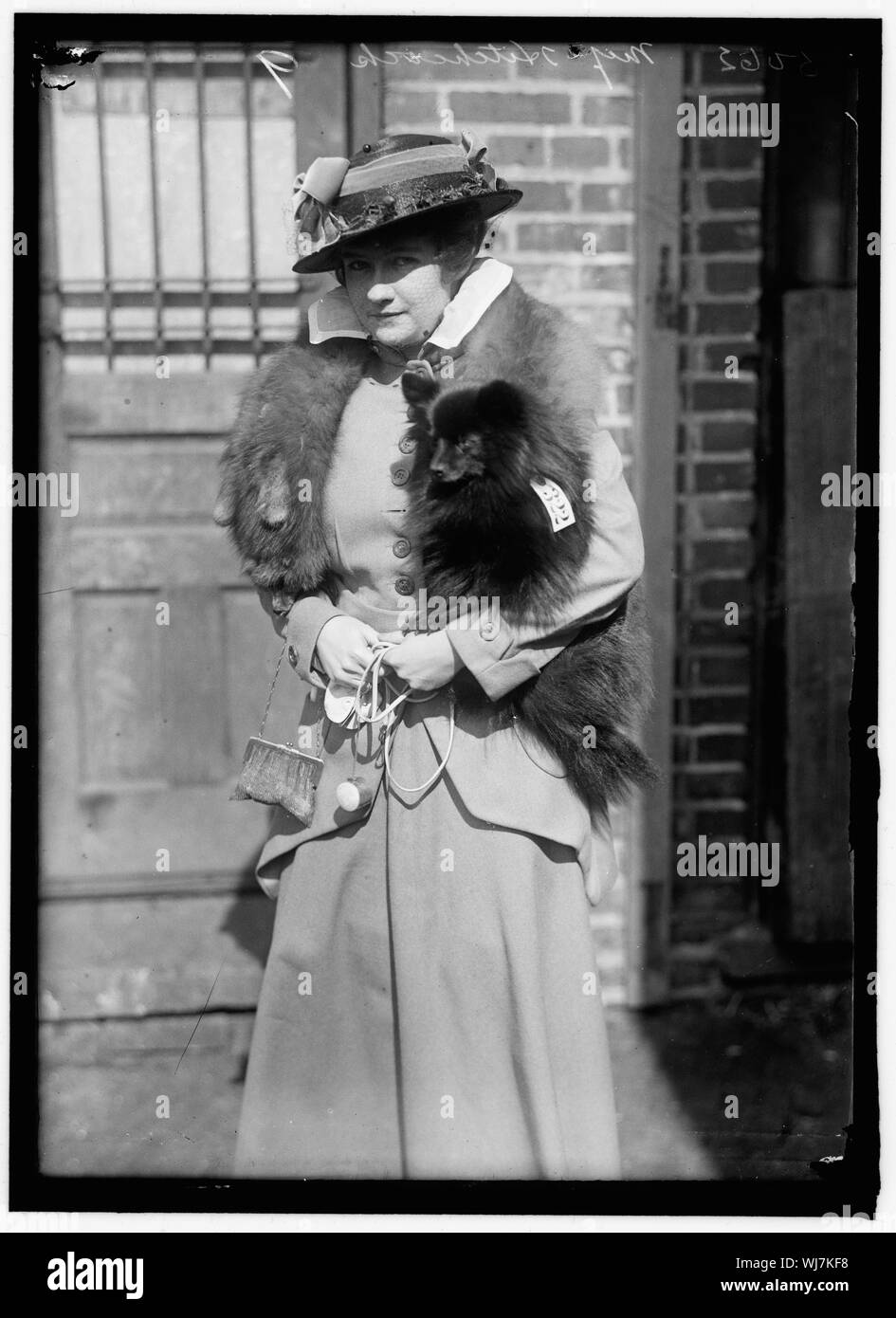 HITCHCOCK, Frau R. DOG SHOW Stockfoto