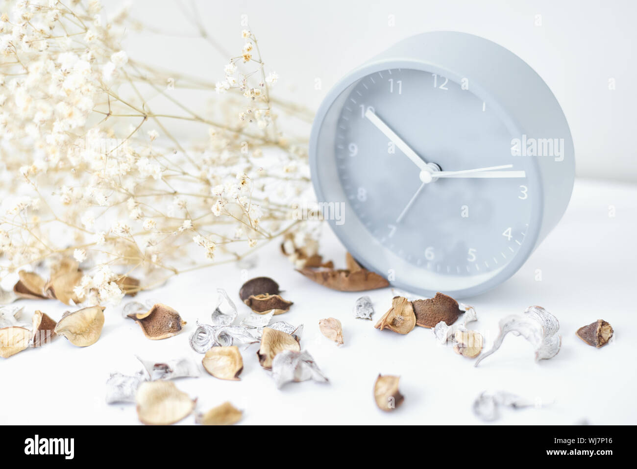 Klassische Wecker, Blumen und Blüten auf einem weißen Tisch. Gemütliche Winter oder Herbst Hintergrund Stockfoto