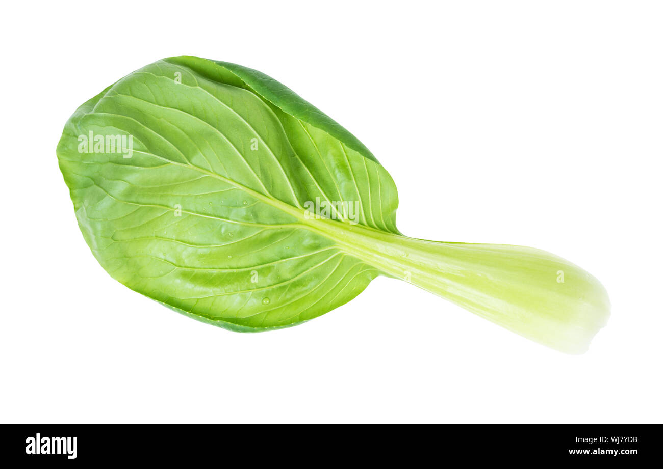 Blatt von Bok Choy (Pok Choi, Pak Choi) Chinesische blatt Kohl Ausschnitt auf weißem Hintergrund Stockfoto